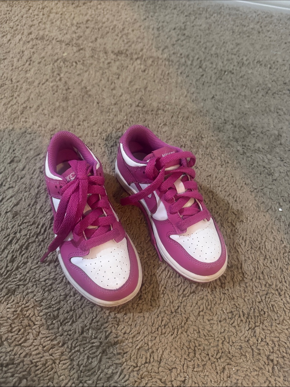 Nike Dunk Low Little Kids shoes